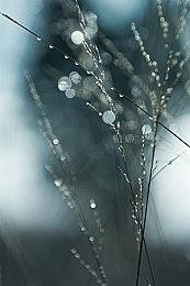 《崩坏：星穹铁道》动画短片：「清闲自在身」